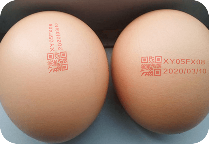 Eggs coding